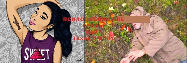 2c-b Белокуриха
