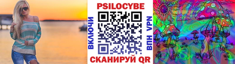 купить наркотик  Валуйки  блэк спрут сайт  Псилоцибиновые грибы Cubensis 