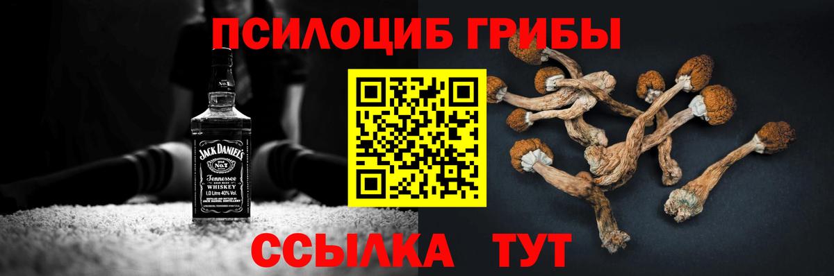 Галлюциногенные грибы Psilocybine cubensis Валуйки